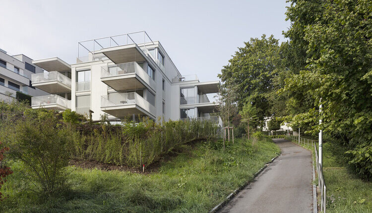 Residential Oasis in Horgen: An Architectural Marvel