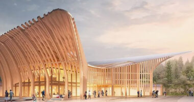 The Healing Power of Wood in Architecture: A Paradigm Shift