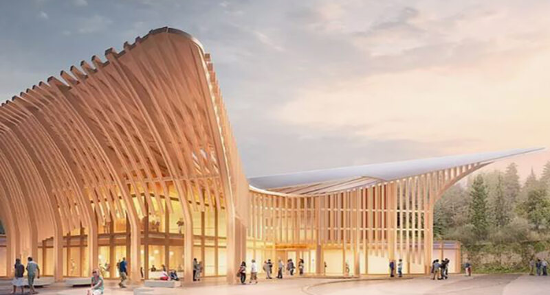 The Healing Power of Wood in Architecture: A Paradigm Shift