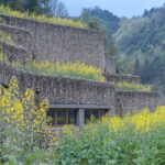 Embracing Nature: A Vernacular Museum in Ningbo-Sheet12