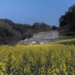 Embracing Nature: A Vernacular Museum in Ningbo-Sheet7