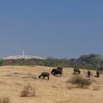 Fostering Scientific Attitudes: The Regional Science Centre in Rajkot-Sheet2