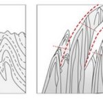 Rediscovering the Sanqingshan Geological Museum-Sheet9